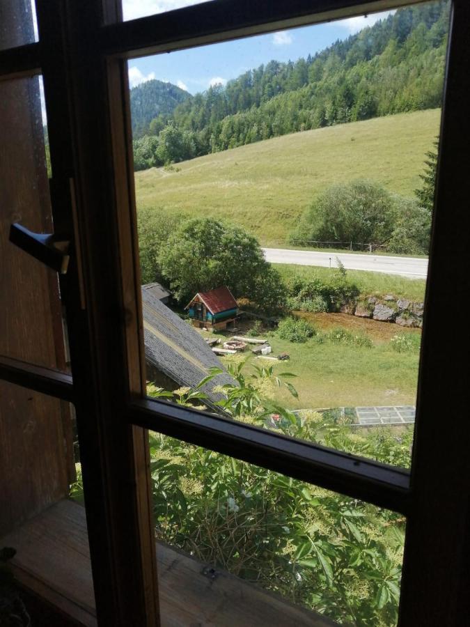 Apartment Nazbauerhof Rohr im Gebirge Exteriör bild
