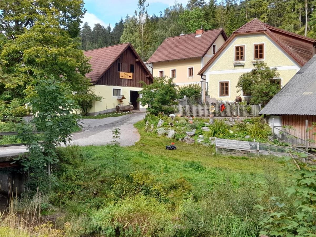 Apartment Nazbauerhof Rohr im Gebirge Exteriör bild
